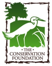 CONS Logo 2014