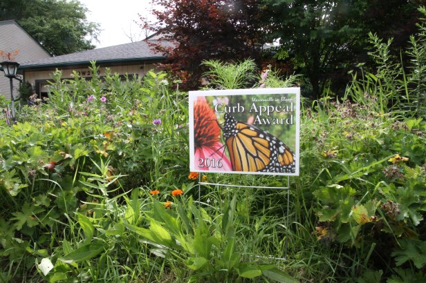 butterflygardenwithcurbappeal