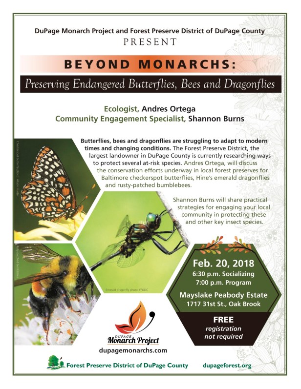 1.1_DMP_Endangered_flyer